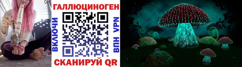 Галлюциногенные грибы Psilocybine cubensis  наркошоп  Самара 